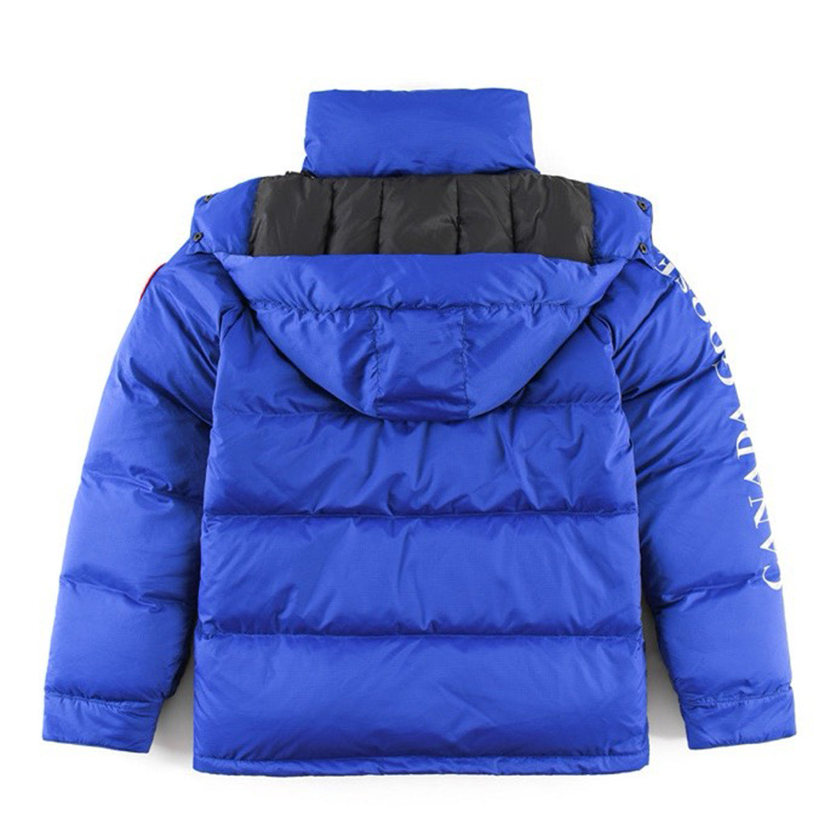 Canada Goose Approach Down Jacket – Sky Blue (Men's)