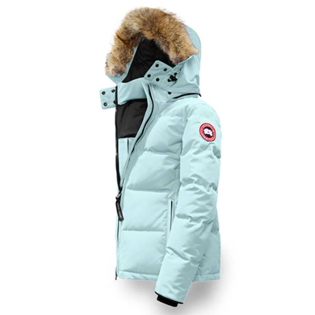 Canada Goose Chelsea Whitehouse Hooded Down Parka (Women's)